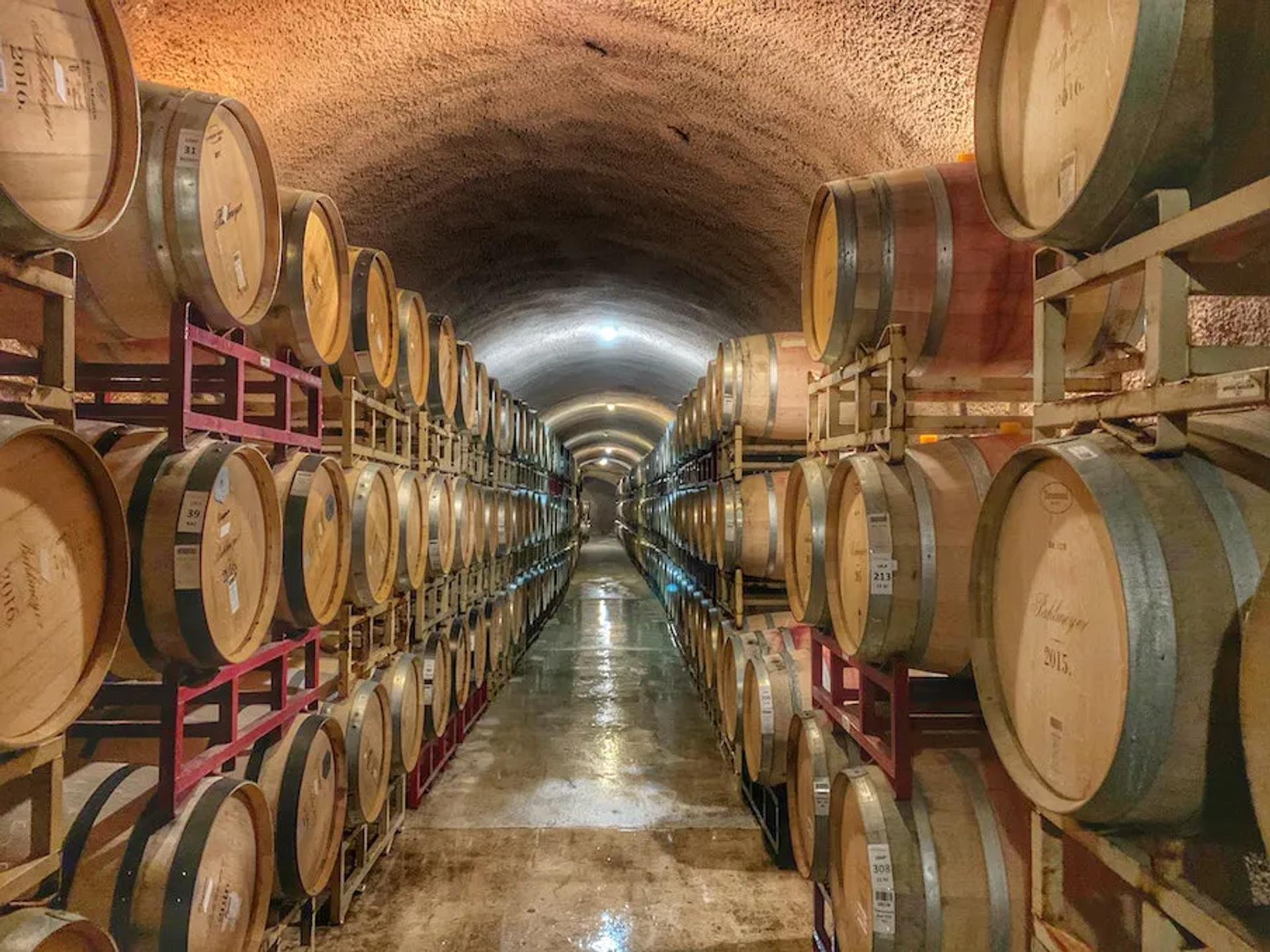 A wine cellar with many barrels of wine