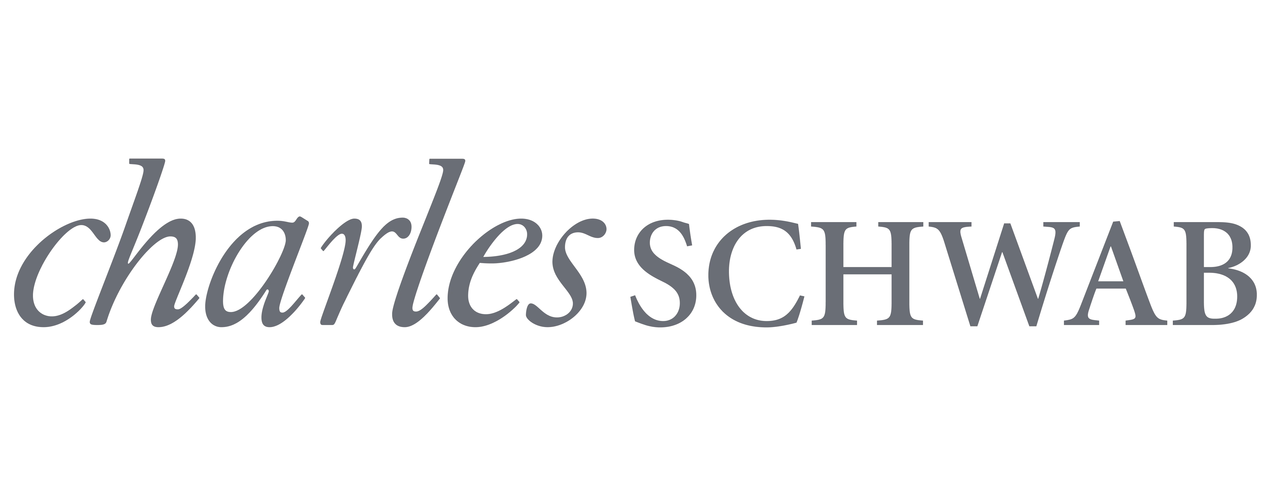 Charles Schwab Logo
