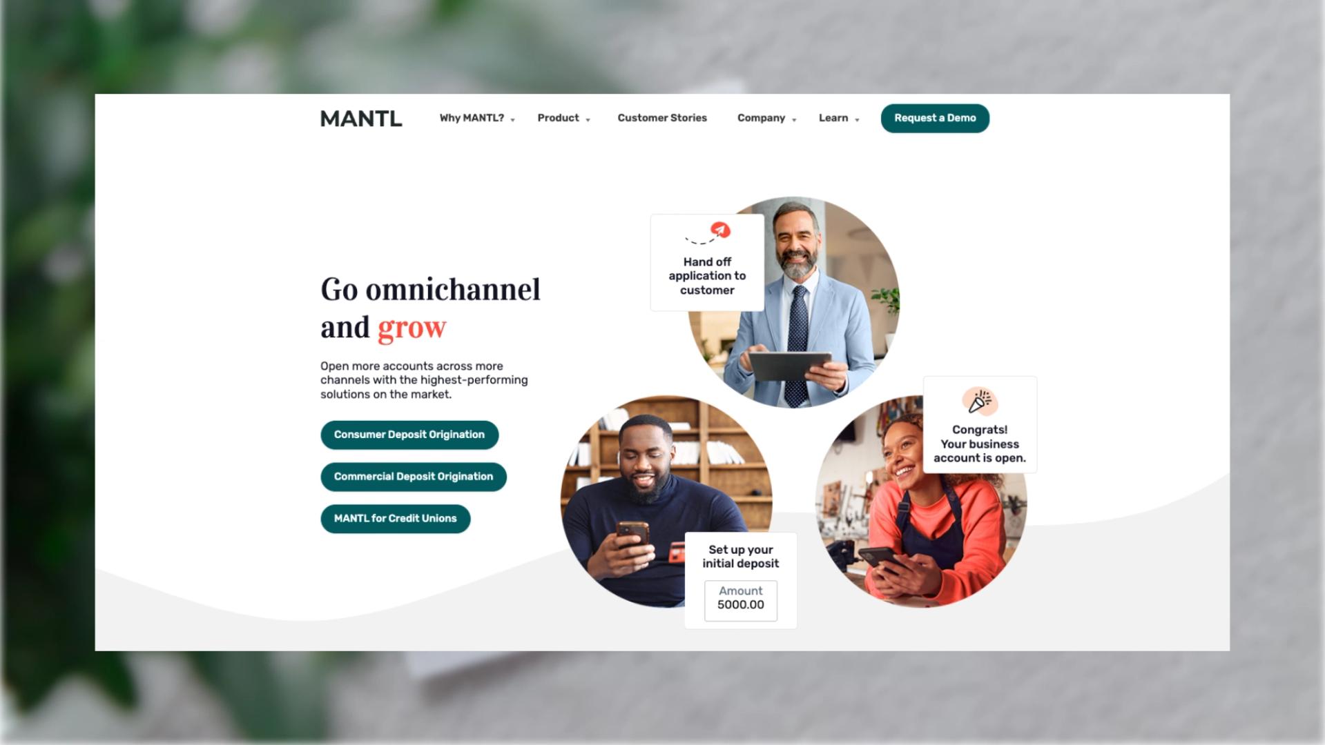 Mantl website desktop