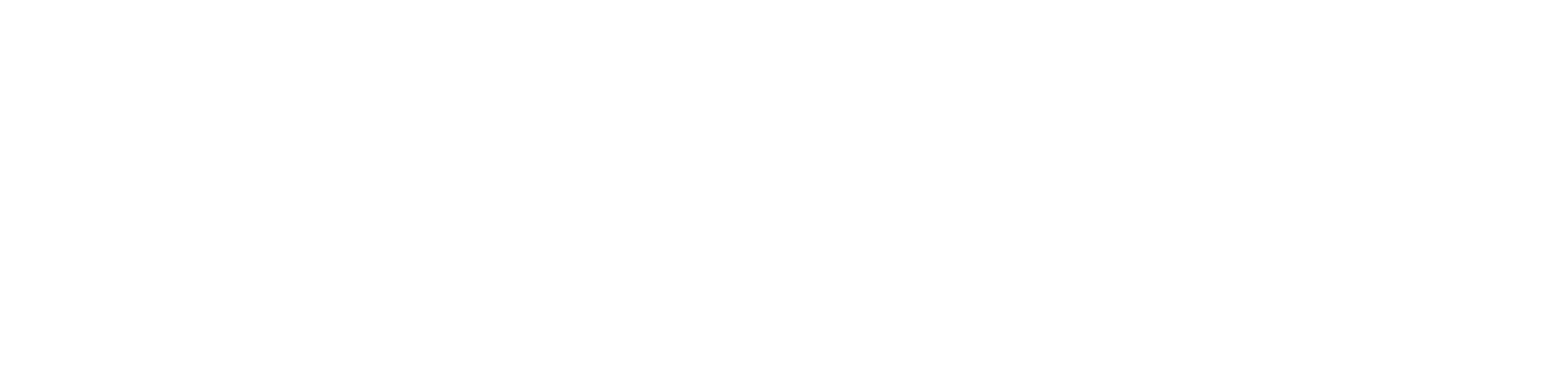 Tata Consultancy Services (TCS) logo