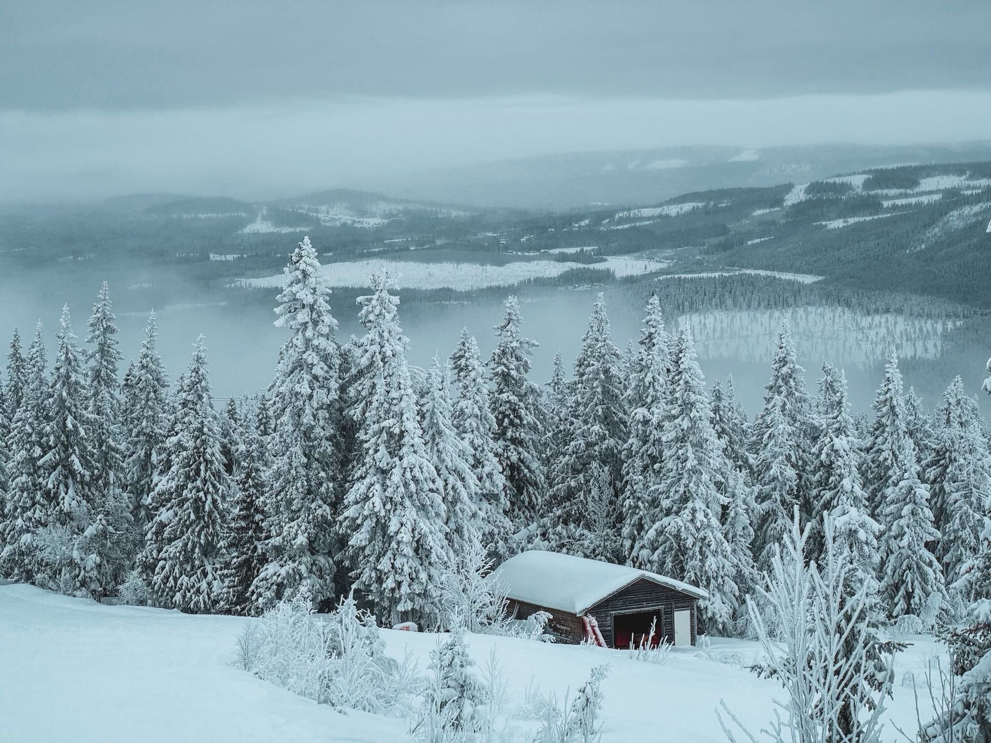 Why You Should Skip the Alps This Winter — and Head North Instead