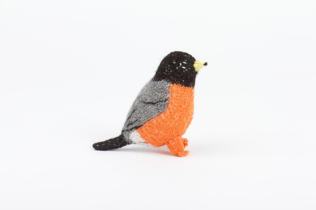 Birdwatching