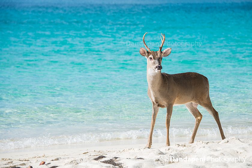 Concentration leads to Peace