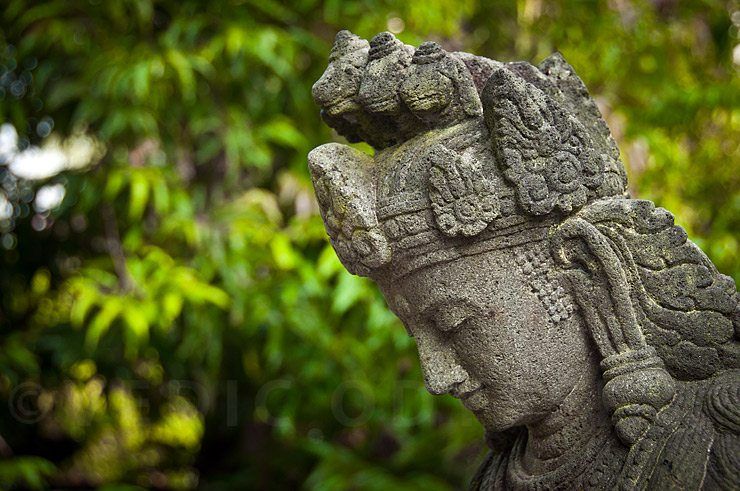 Java's Buddhist Sanctuaries image