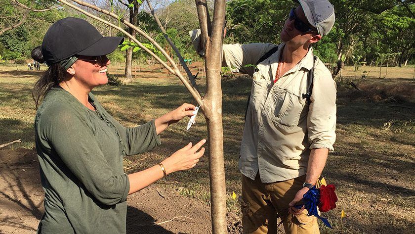 Taking stock of tree health