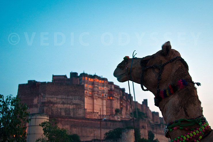 An afternoon at Mehrangarh Fort, Jodhpur image