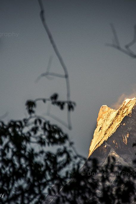 The gorgeous Fishtail lights up in the setting evening sun.