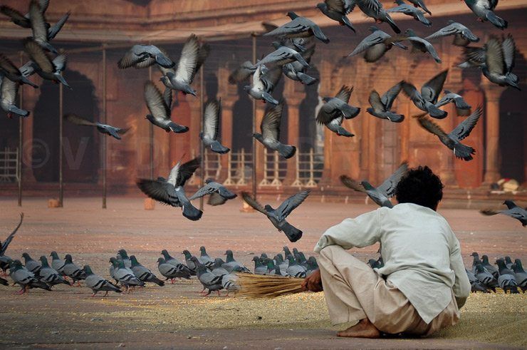 Jama Masjid, New Delhi, India