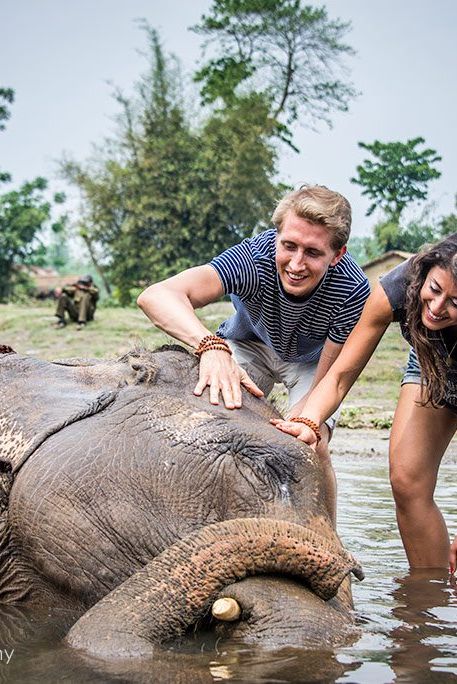 bathing-elephants-jungles-chitwan-nepal