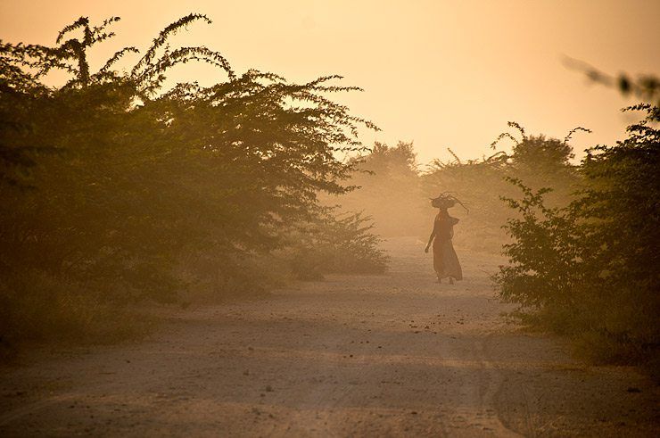 Highlights of Chandelao, Rajasthan image