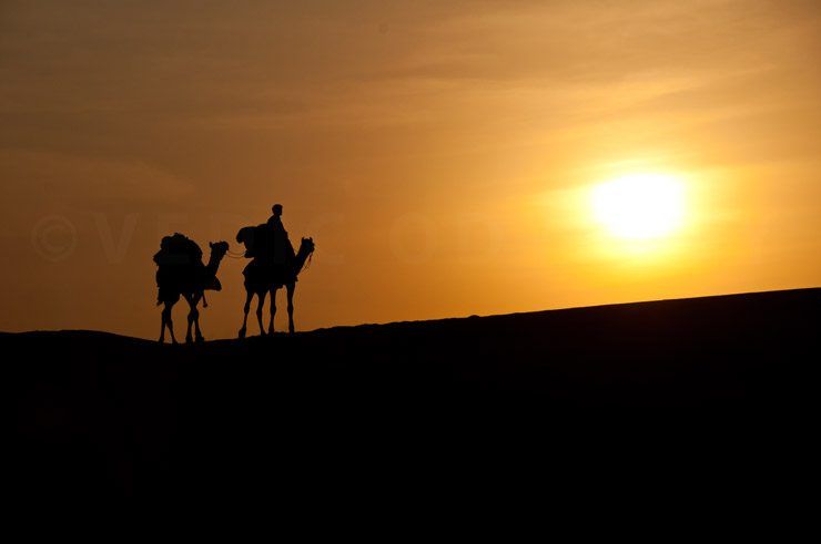 A night in the Great Thar Desert image