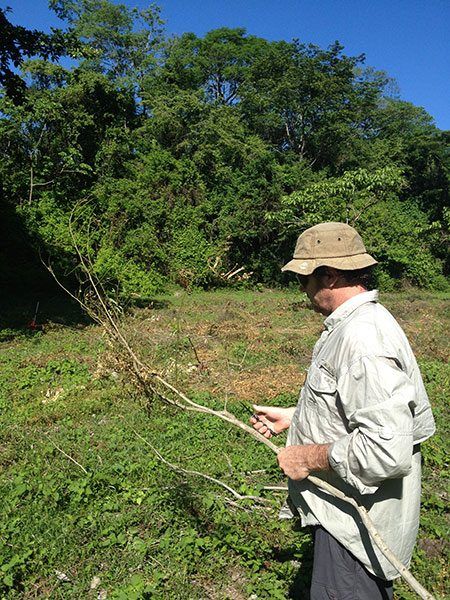 Tim gets very resourceful. He takes a long stick, cleans and cuts it to the length he wants and we use it to help us measure the entrance driveway.
