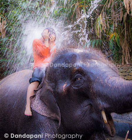 Time for this elephant to return the favor.