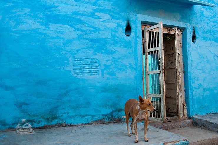 A brightly colored village home, Rajasthan.
