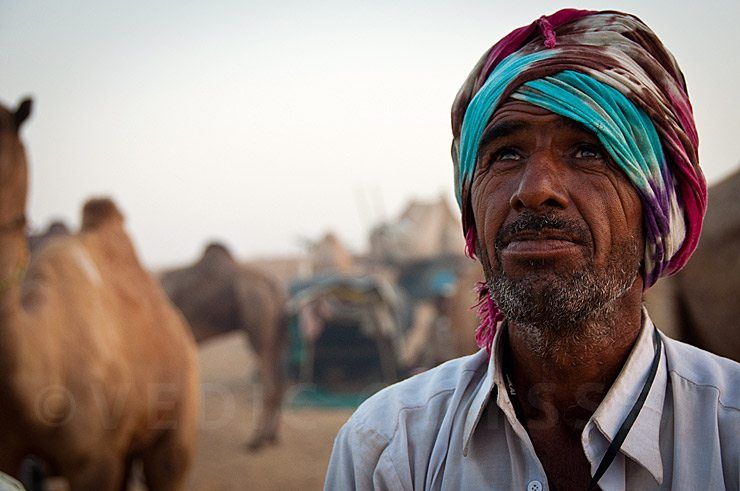 Hot air balloons at Pushkar camel Fair 2011, Rajasthan.
