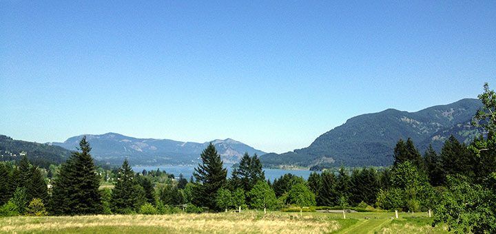 The retreat took place at Skamania Lodge which had gorgeous views.
