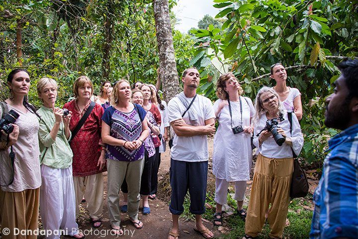 spice-plantation-tour-periyar-india