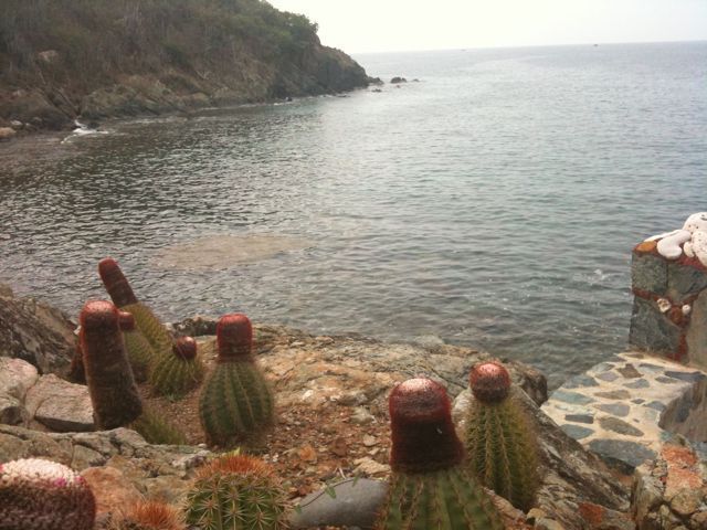 Developing Willpower and Concentration image