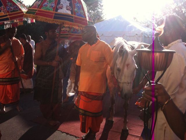 Cow and Horse Blessing image