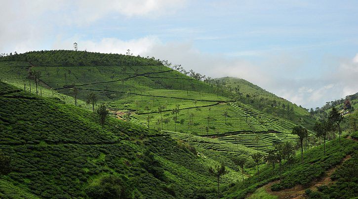 Vedic Odyssey takes a group on a meditation retreat to Kerala, South India
