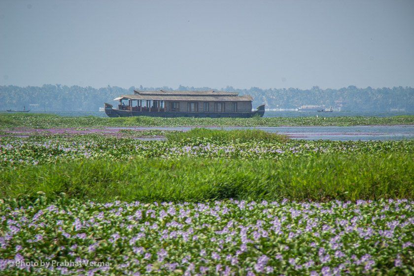 We sailed out across Lake Vembanad to Phillipkutty Farm for lunch.