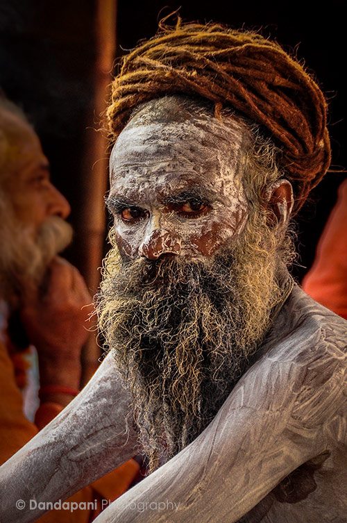 Gallery of Sadhus, Kumbha Mela (Day 8)