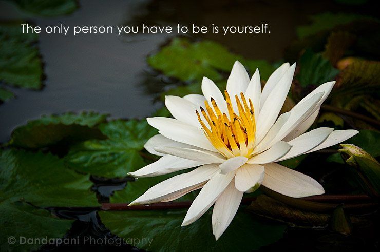 Quote & Photo by Dandapani
