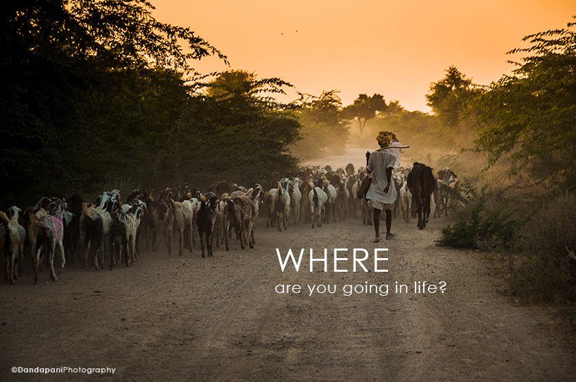 Where are you going in life?