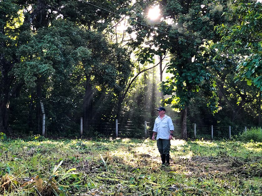 Nick helping me to design the hardwood forest.