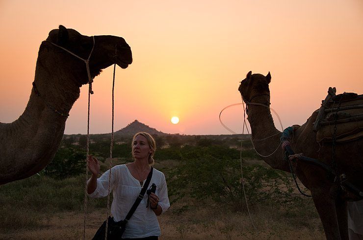 Camels and Campfire in the Desert image