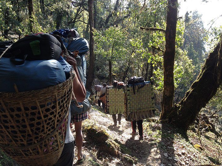 The extremely fit porters carrying heavy loads down the mountain.