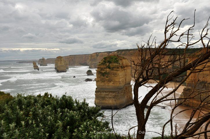 Great Ocean Road drive in Victoria, Australia, heading out to see the 12 Apostles