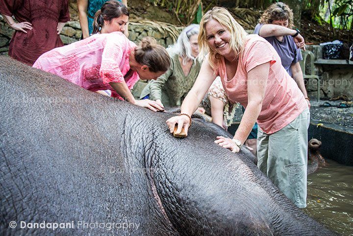 bathing-elephants-periyar-india-2