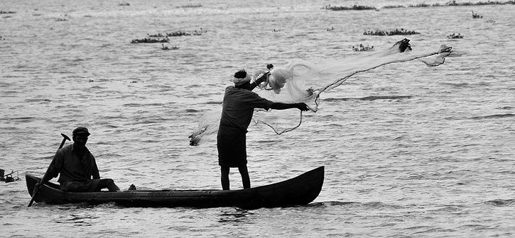 Images from in and around Kochi, Kerala in South India
