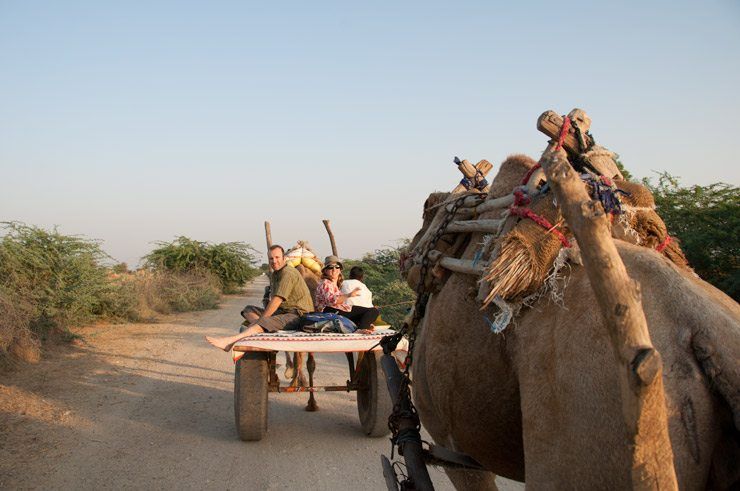 Camels and Campfire in the Desert image