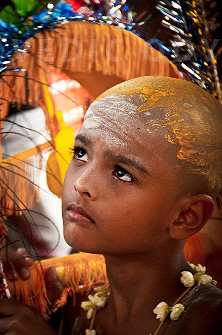 Thaipusam Festival at Batu Caves image