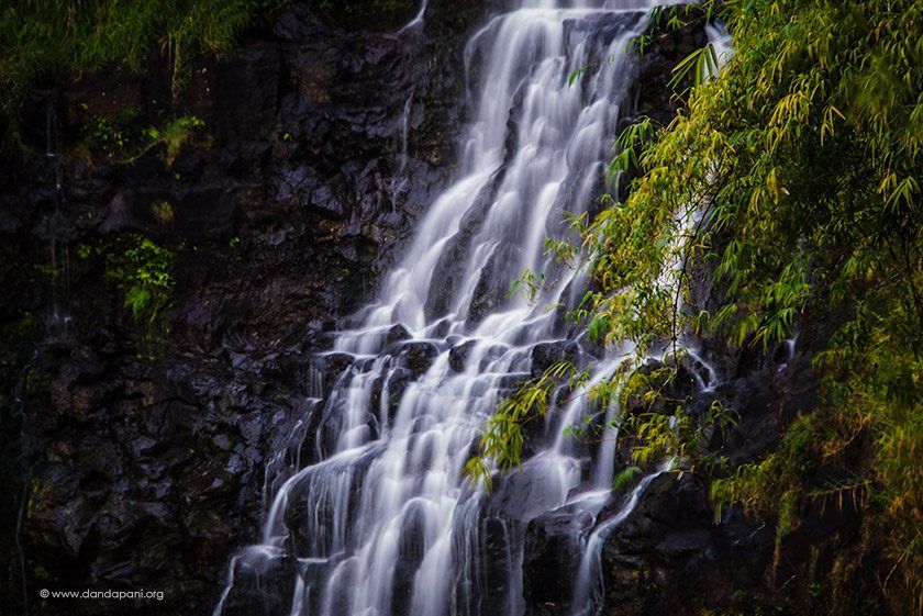 Getting some thing in the foreground always lends a different feel to a photo. Climbing further up the side of the hill I was able to get some wild bamboo in the foreground of this shot.