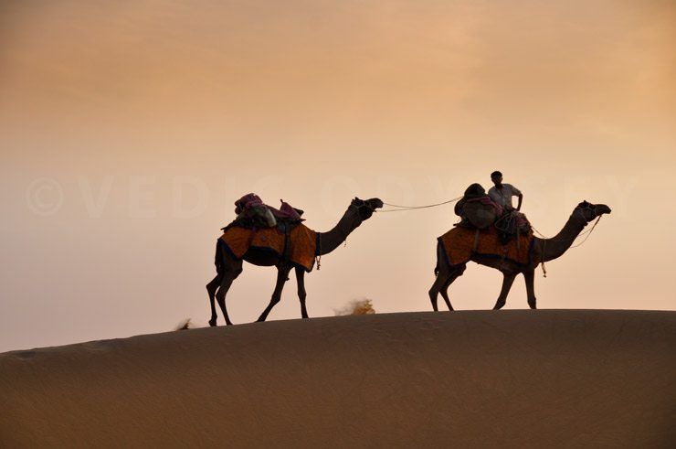 A night in the Great Thar Desert image