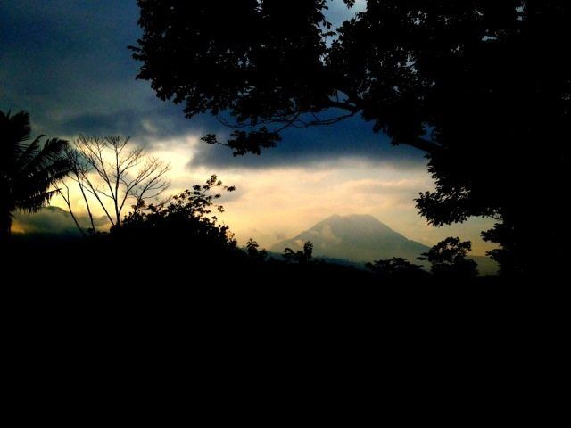 20120214-084359.jpg