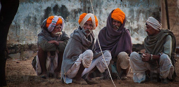 Pushkar Camel Fair, Rajasthan, India.