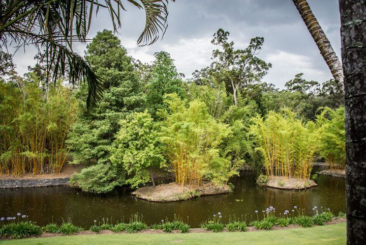 YPO-Queensland-spousal-event-dandapani-4