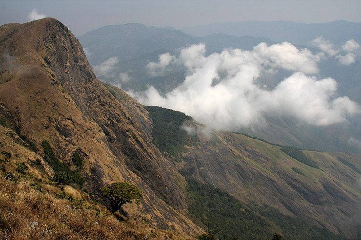 Hiking in the Western Ghats image