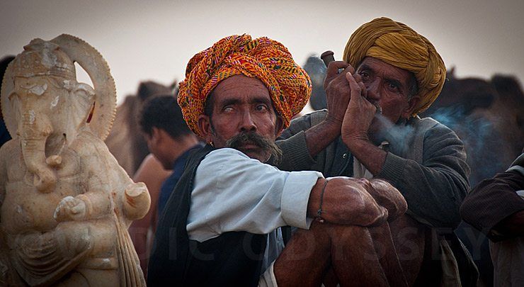 Pushkar Camel Fair