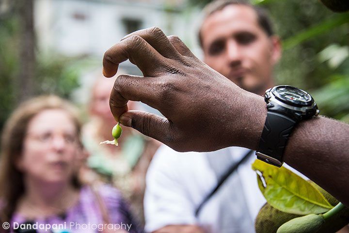 Thaj holds up a spice……do you know what this is? Scroll to the bottom of the photos to see the answer.