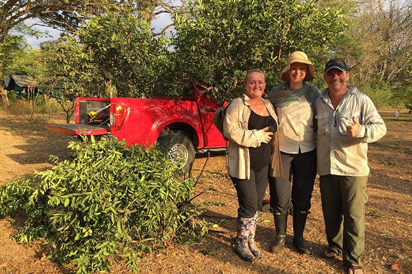 Nick, Tracey and Tatiana pose for a photo after their few days of marathon tree pruning. We have a lot of happy trees.