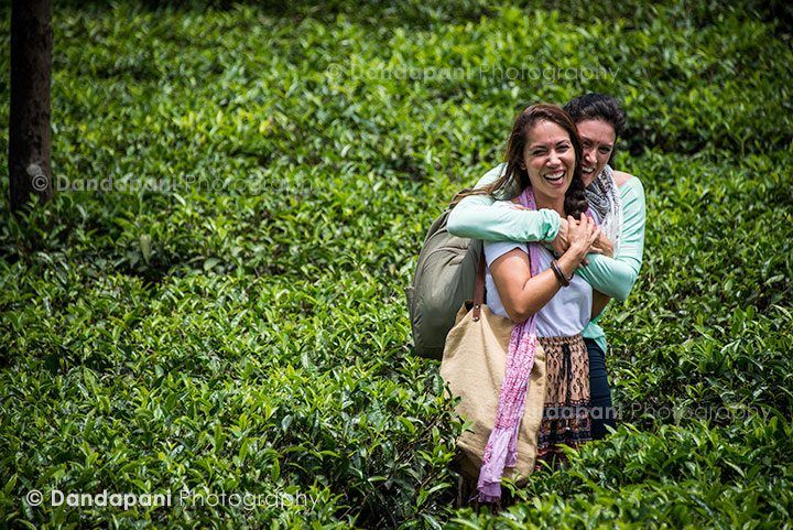 Having fun meandering along the tea plants.