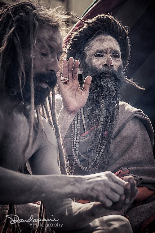 Gallery of Sadhus, Kumbha Mela (Day 4)