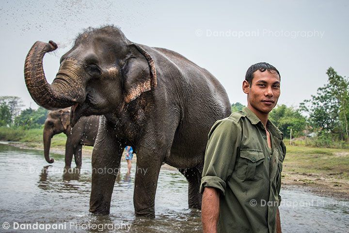 chitwan-tiger-tops-nepal