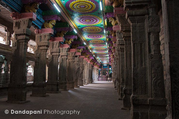 Morning at the Madurai Meenakshi Temple (Part 1) image