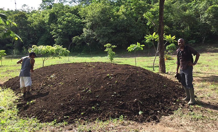 One of three garden mounds that we created.